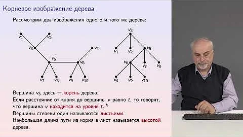 Графы 10 Корневое изображение дерева