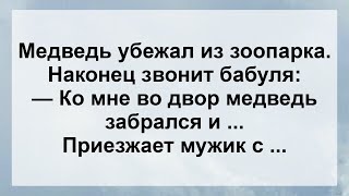 Ко Мне Во Двор Медведь Забрался ..! Самые Свежие Смешные Анекдоты Для Настроения!