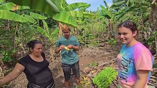 Las Frutas en Las Montañas de Honduras, Miren Todo Lo que Cortamos Con La Familia