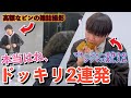 【ドッキリ】もしも金欠ベーシストに高額なピンの雑誌撮影の仕事が来たらどうするのか【神回】