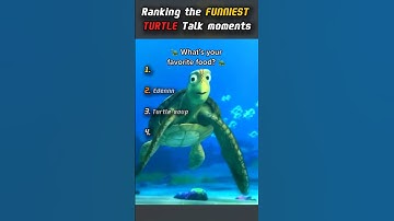 Ranking the FUNNIEST TURTLE Talk moments