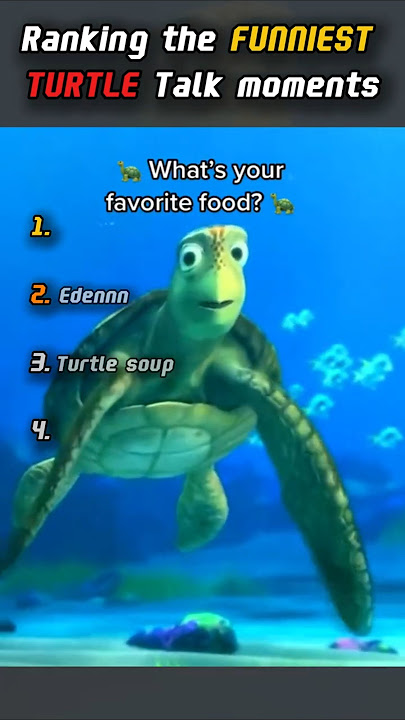 Download lagu Peringkat momen Bicara TURTLE PALING LUCU