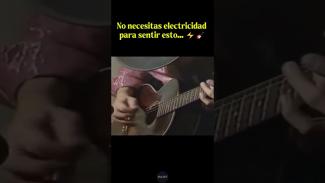 PL3 - Professional Electric Guitar and Music videos