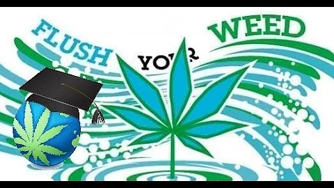 Flushing Cannabis Plants – Basic & Advanced Tips