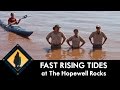 Fast rising tide at the hopewell rocks