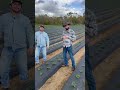 Tips to growing strawberries with @TheShilohFarm