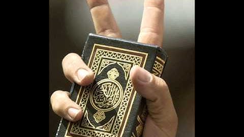 القارئ الشيخ هاني الرفاعي     سورة الأنفال