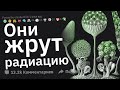 Очень Успокаивающие Факты