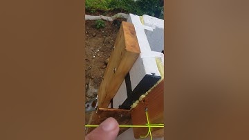 Pro Buck Window jambs Installed