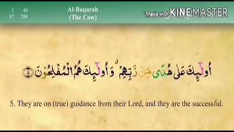 سورة  البقرة  من  الاية  ( 1 )  الى  الاية  ( 5 )  مكررة  للحفظ