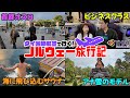 【夫婦旅】ビジネスクラスで行く!ノルウェー旅Vlog!【サウナもあるよ】