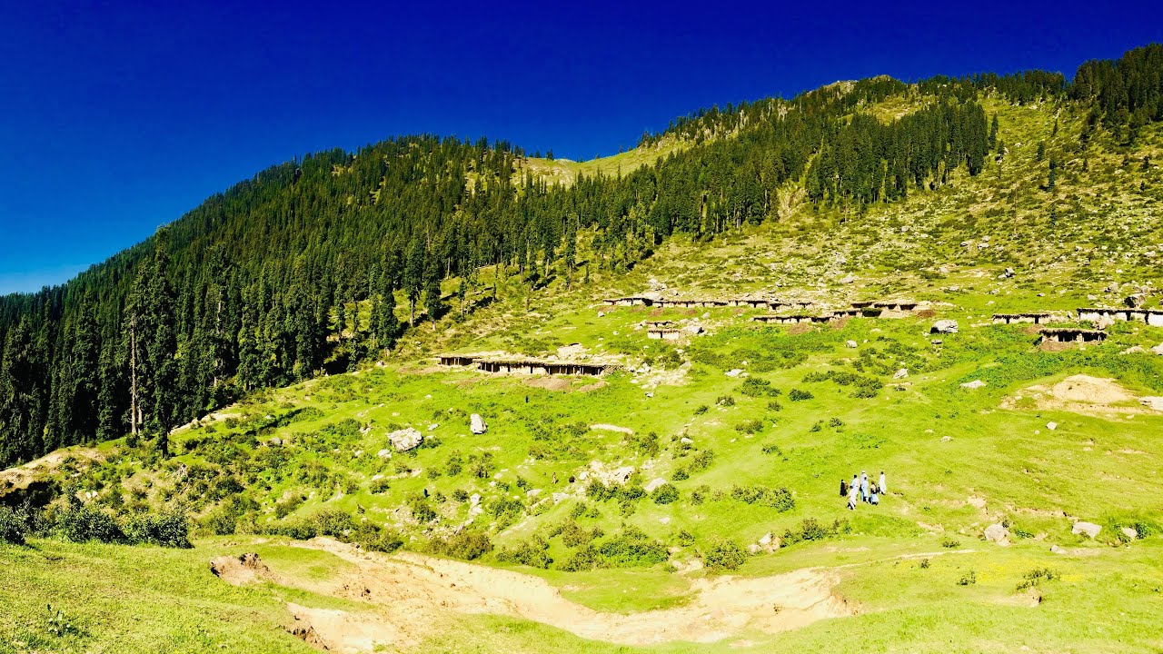 Distt shangla shomano Banda kass lilownai