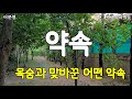 이문열 약속 이 이야기는 어떤 중년 농부가 뒷산 소나무에 목을 맨 시체로 발견된 사건으로부터 시작되었다 이문열 약속 이 이야기는 어떤 중년 농부가 뒷산 소나무에 목을 맨 시체로 발견된 사건으로부터 시작되었다