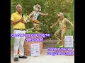 So Natural! ನಿಜವಾದ ಹುಲಿಯೇ ಎದ್ದು ಬಂದಿದೆ Tiger & Leopard Statue by Ullas Karanth S/O Shivaram Karanth