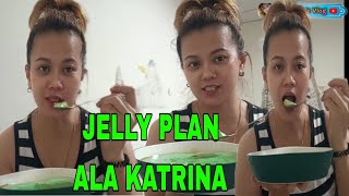 JELLY PLAN ALA KATRINA/KATHERIN'Z VLOG