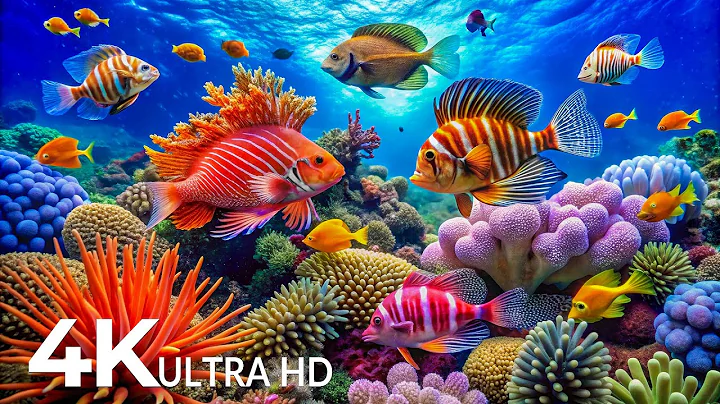 The Best 4K Aquarium - Explore the Underwater World and Beautiful Coral Reef Fish for Deep Sleep #56 thumbnail