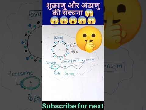 वीडियो: वायलेट हुमाको इंच: विवरण, फोटो, देखभाल और प्रजनन की विशेषताएं