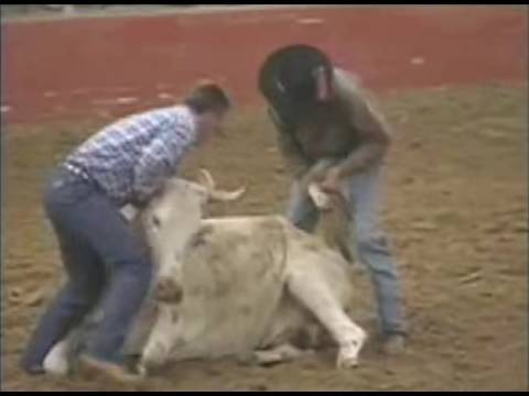 horseshoe bend Rodeo Cruelty, Corruption Exposed in Documentary (Part 2)