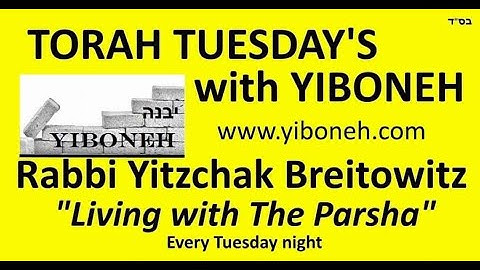 Rabbi Yitzchak Breitowitz: Change the World by Learning Torah and Doing Mitzvot