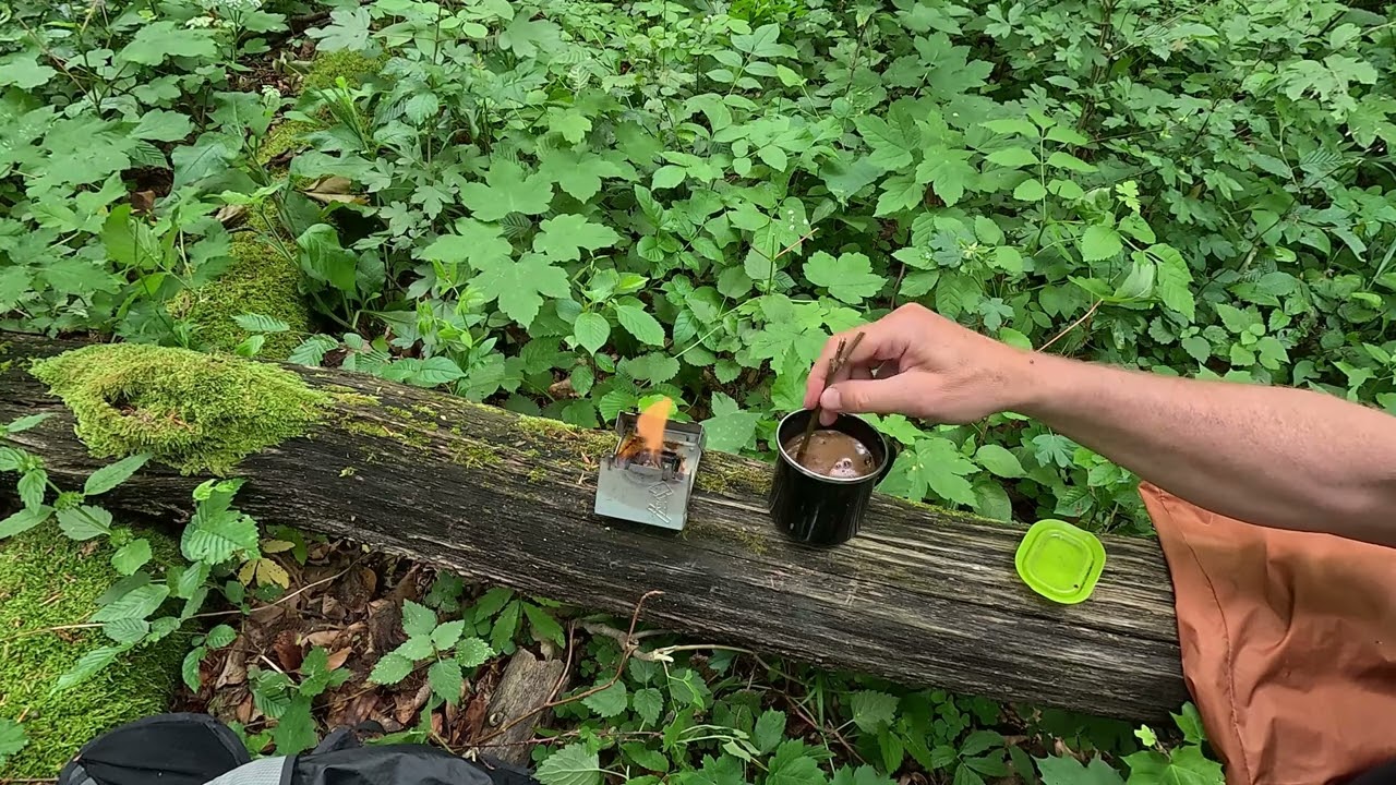 A silent hike in the beautiful Bakony mountains of Hungary