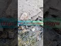 На любовь влияет чувство вины, ты думаешь у тебя нет этого? Тогда смотри https://t.me/vsemogyw