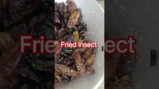 🤯 Fried Insects #southeastasia #shorts