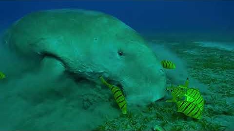 Magnificent Places You Must See | Dolby Vision HDR 4K (60FPS)