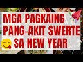 Pampaswerteng Handa sa Bagong Taon | Pampaswerteng Pagkain sa New Year | Pang akit Swerte Pamahiin