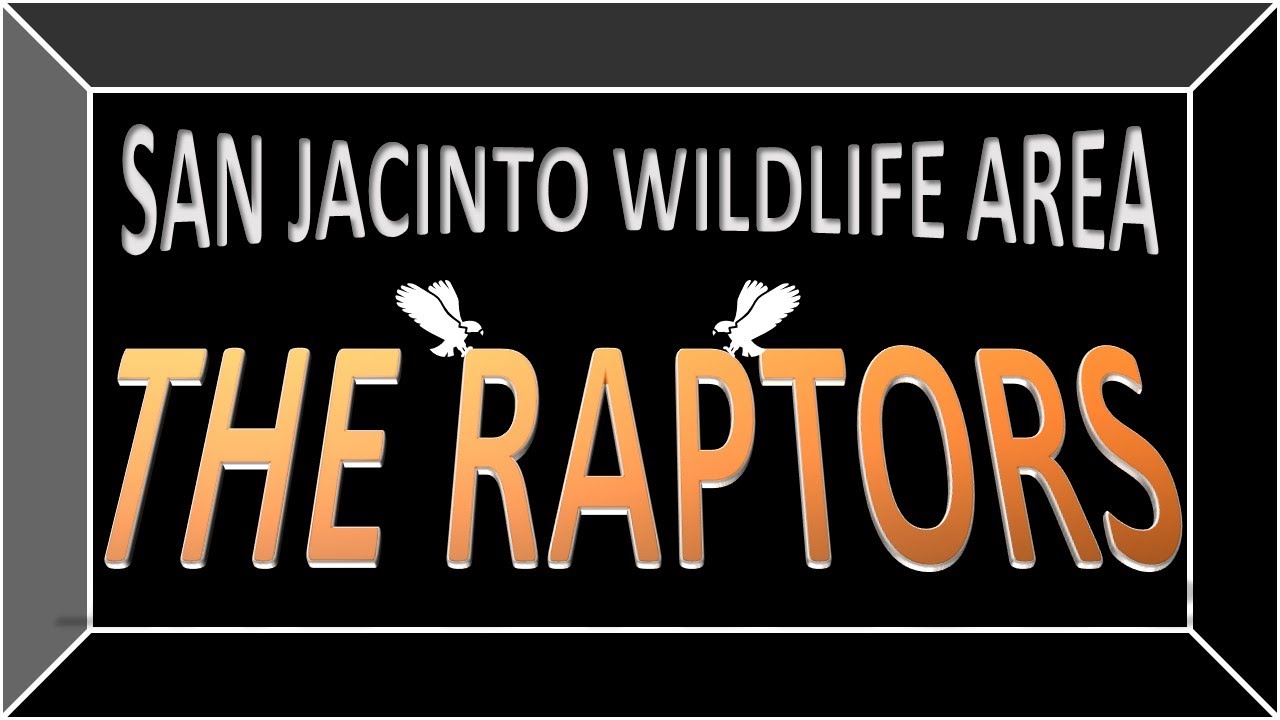 SAN JACINTO WILDLIFE AREA / THE RAPTORS YouTube