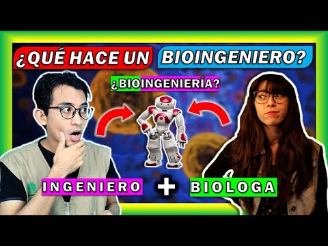 What is BIOENGINEERING? | What does a BIO-ENGINEER do? ft. Lumara the Biologist ?
