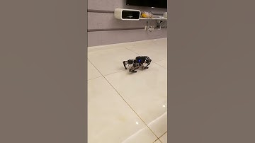 quadruped robot