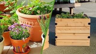 Pot and Planter: What's the Difference | Which Should You Choose