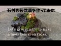 春嘉の盆栽工房 　＃19　石付け苔盆栽を作ってみた　Let's try to make a moss bonsai on the rock. 【苔盆栽】【苔】【石付け】【moss bonsai】