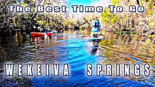 December is a cheat code for this Florida spring