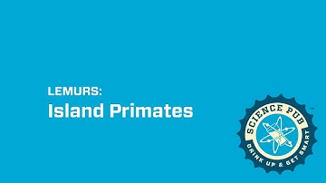 Virtual OMSI Science Pub: Lemurs: Island Primates