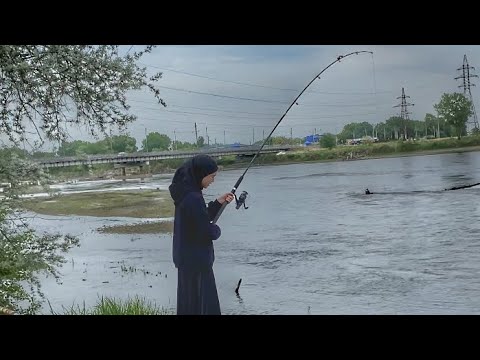 Видео: Рыбалка На Реке Терек