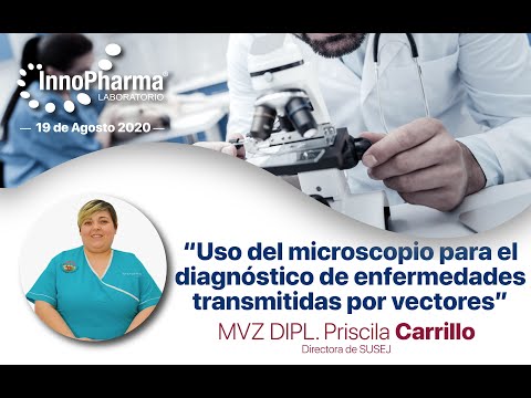 Vídeo: Comparación De Paneles Serológicos Y Moleculares Para El Diagnóstico De Enfermedades Transmitidas Por Vectores En Perros