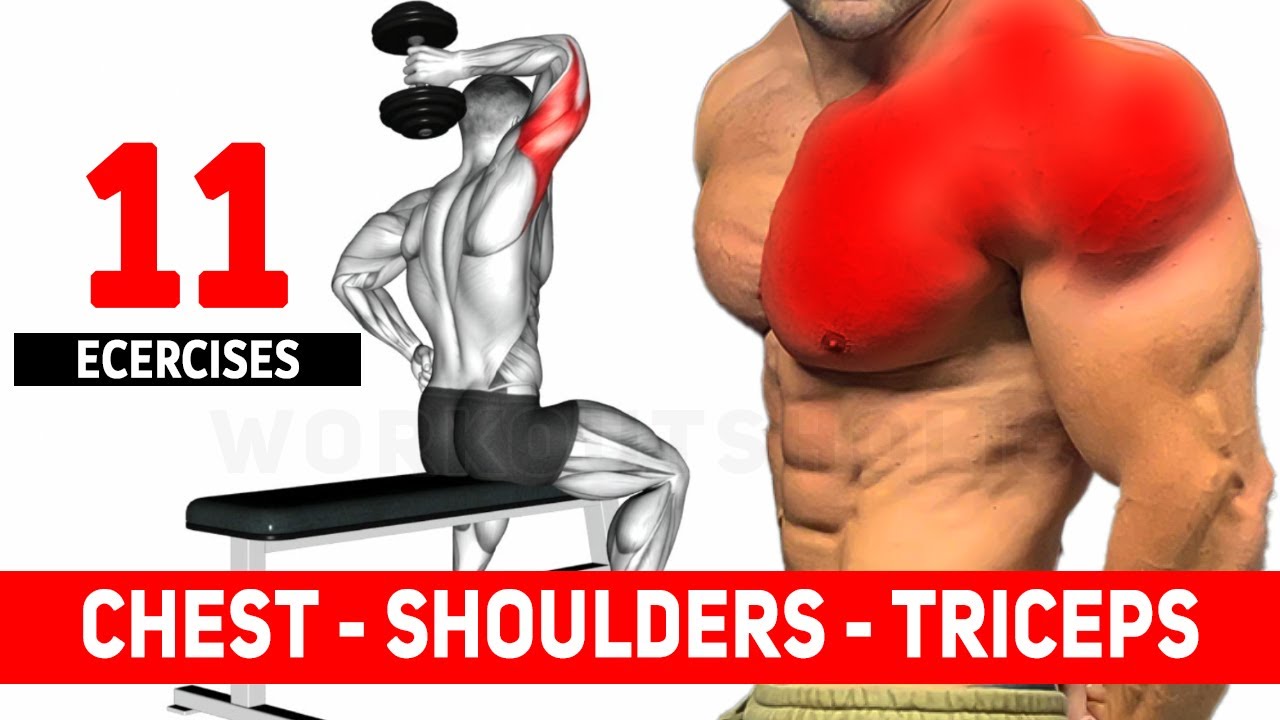 Chest, Shoulder and Triceps Workout (Only Dumbbell) YouTube
