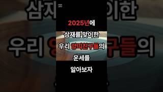 2025년 삼재띠 양띠 운세