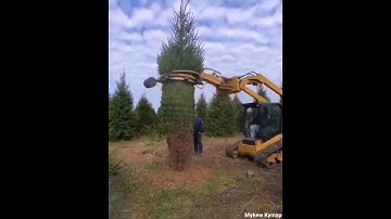 Tree binding machine | Now you know how it’s done | Innovation and Growth #18