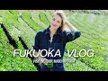 Japan travel vlog  visiting our matcha farm in fukuoka  sanne vloet