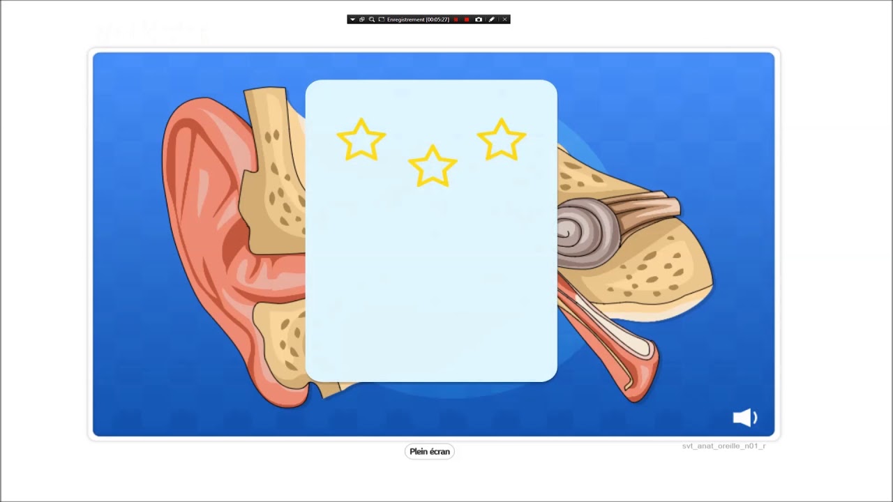 vidéo éducative 3 - YouTube