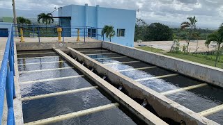 Proceso de Potabilización del Agua.