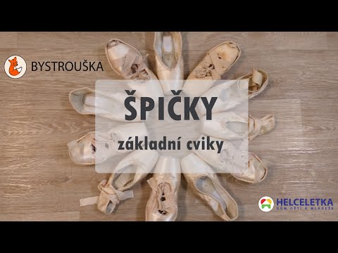 Video: Jak Vycvičit špice