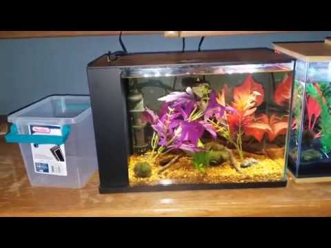 Top Fin Indulge 3 gallon betta tank Review 