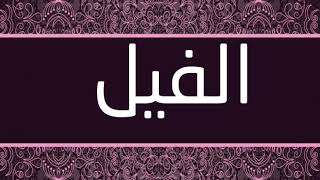 القارئ محمد المحيسني - سورة الفيل