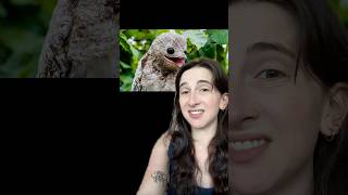 Animals that I just learned exist