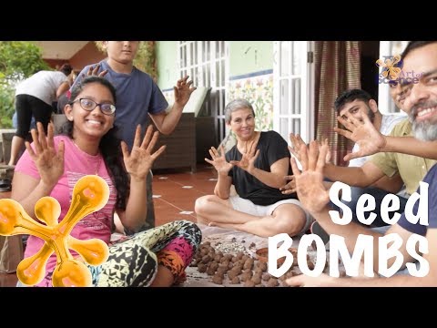 How to make Seed Bombs | dArtofScience