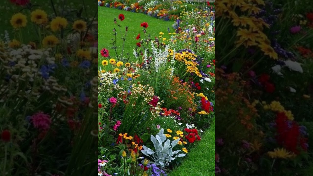 A mano a mano ❤️🎤