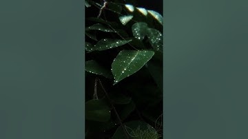 Java LinkedList #Java #LinkedList #Coding #collections #Programming #DataStructure #Developers #Tech